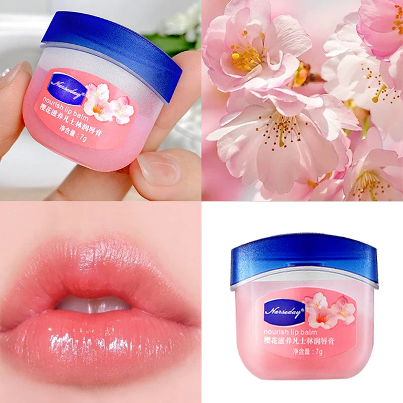 Lip Balm Fade Lip Line Lip Gloss Set Natural Plant Anti-Crack Lip Care Oil Jelly Lip Balm Repair Moisturizing Lipstick Cosmetics